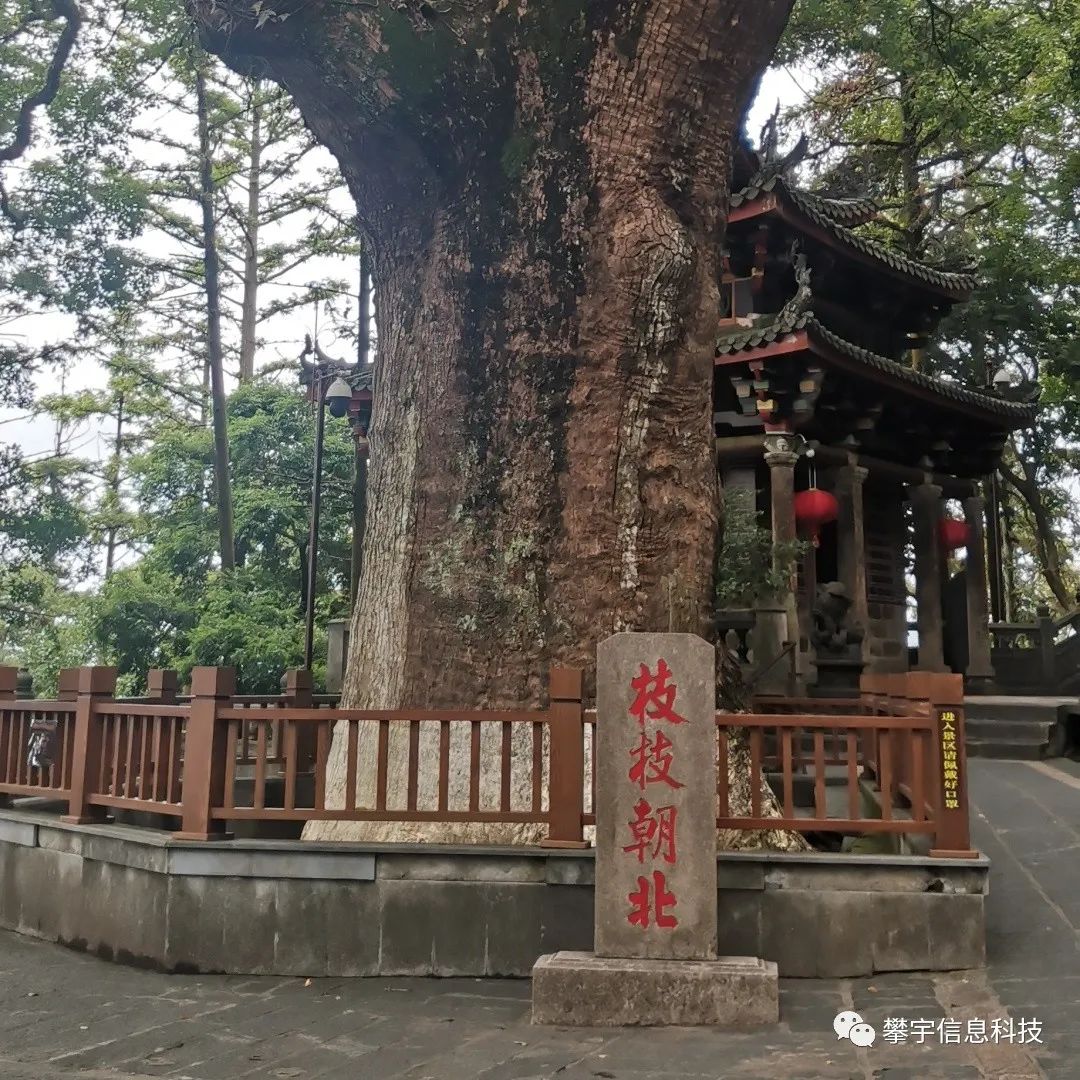攀宇科技 | 戮力同心、携手同行——安溪，我们来啦！(图10)
