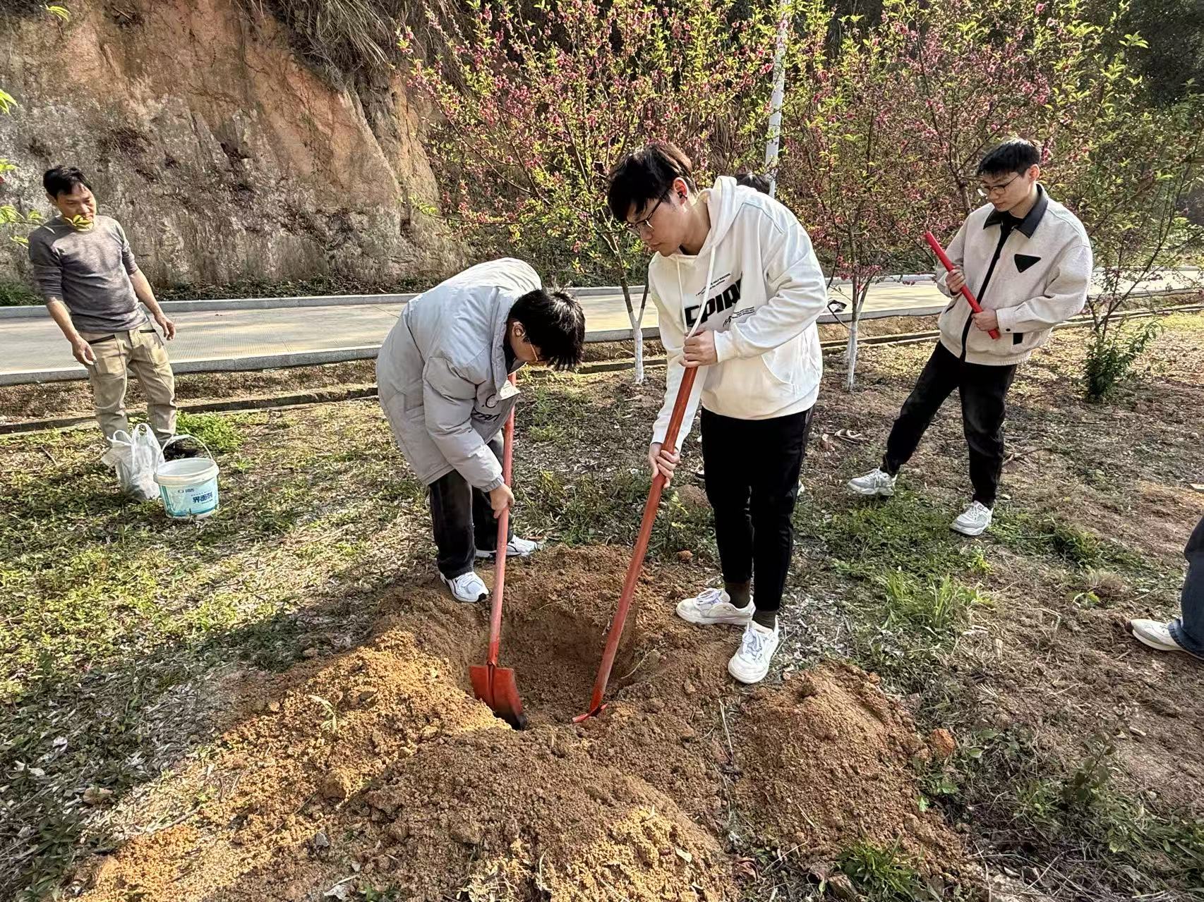 攀宇科技｜2026年“绿意绵延·同心同行”为主题的植树节护绿行动温情启幕(图22)