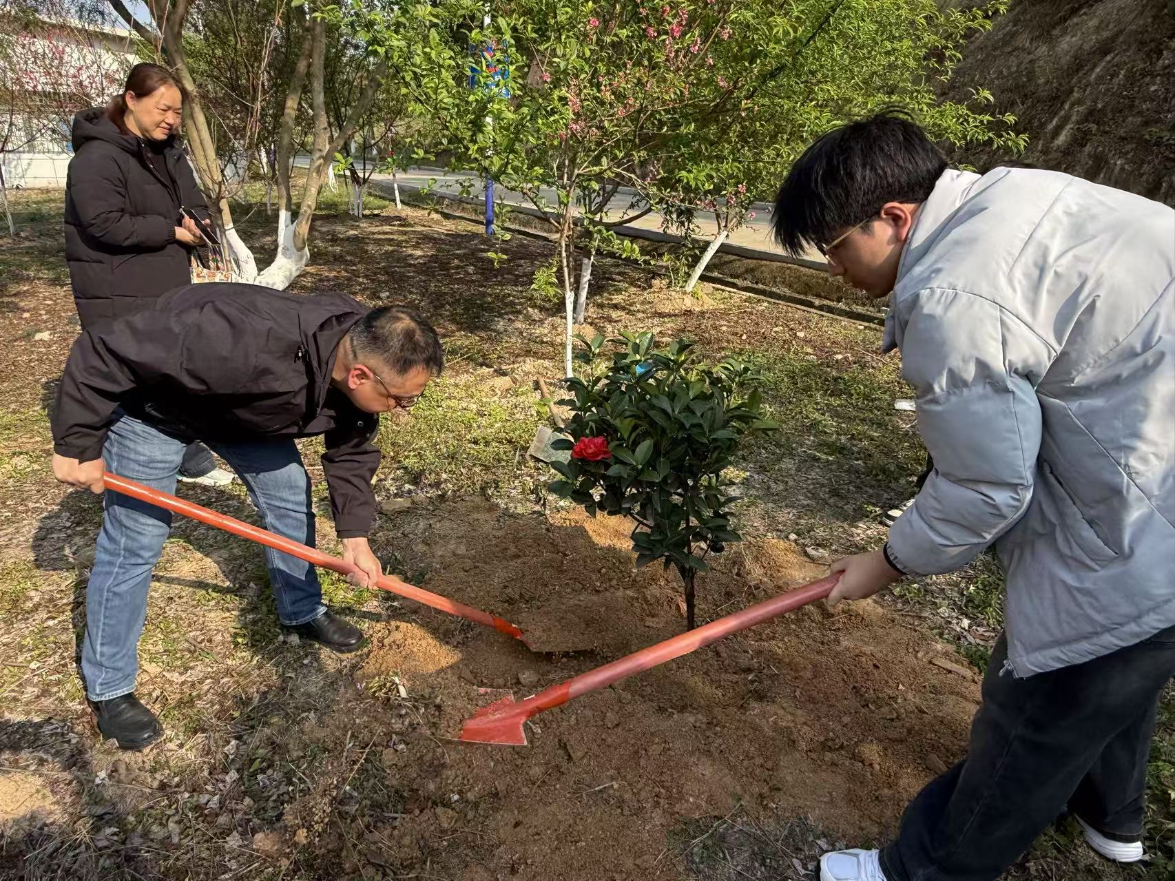 攀宇科技｜2026年“绿意绵延·同心同行”为主题的植树节护绿行动温情启幕(图28)