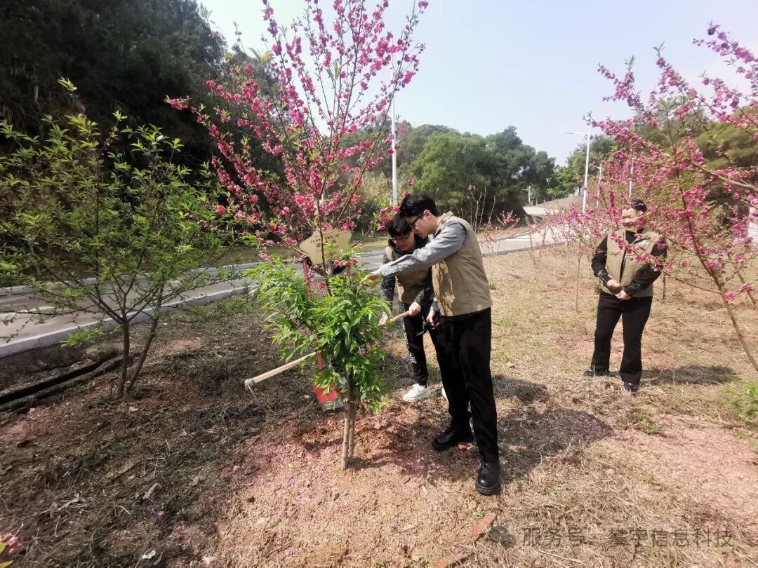绿动未来·共植希望 | 福建攀宇(宇拓)科技2025年植树造林活动圆满落幕(图28)