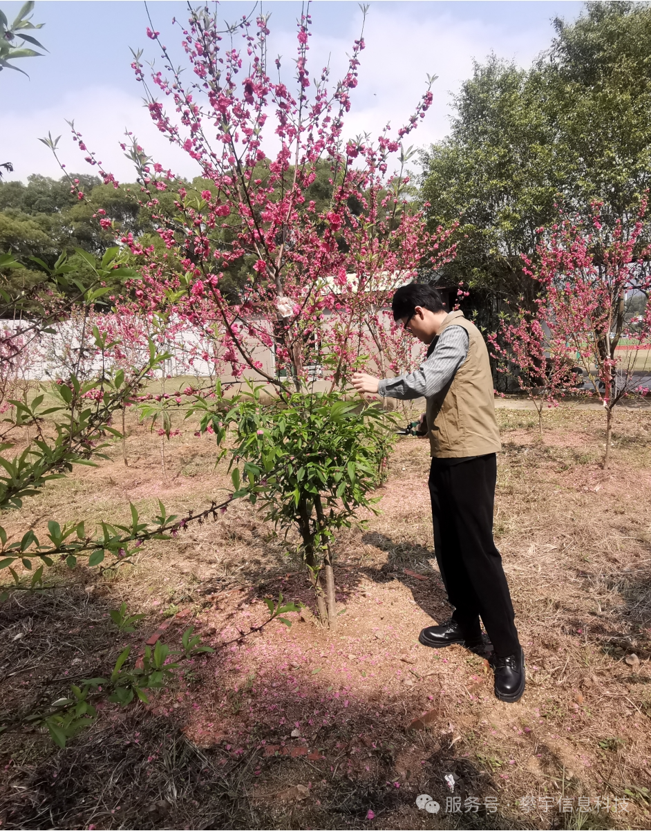绿动未来·共植希望 | 福建攀宇(宇拓)科技2025年植树造林活动圆满落幕(图40)