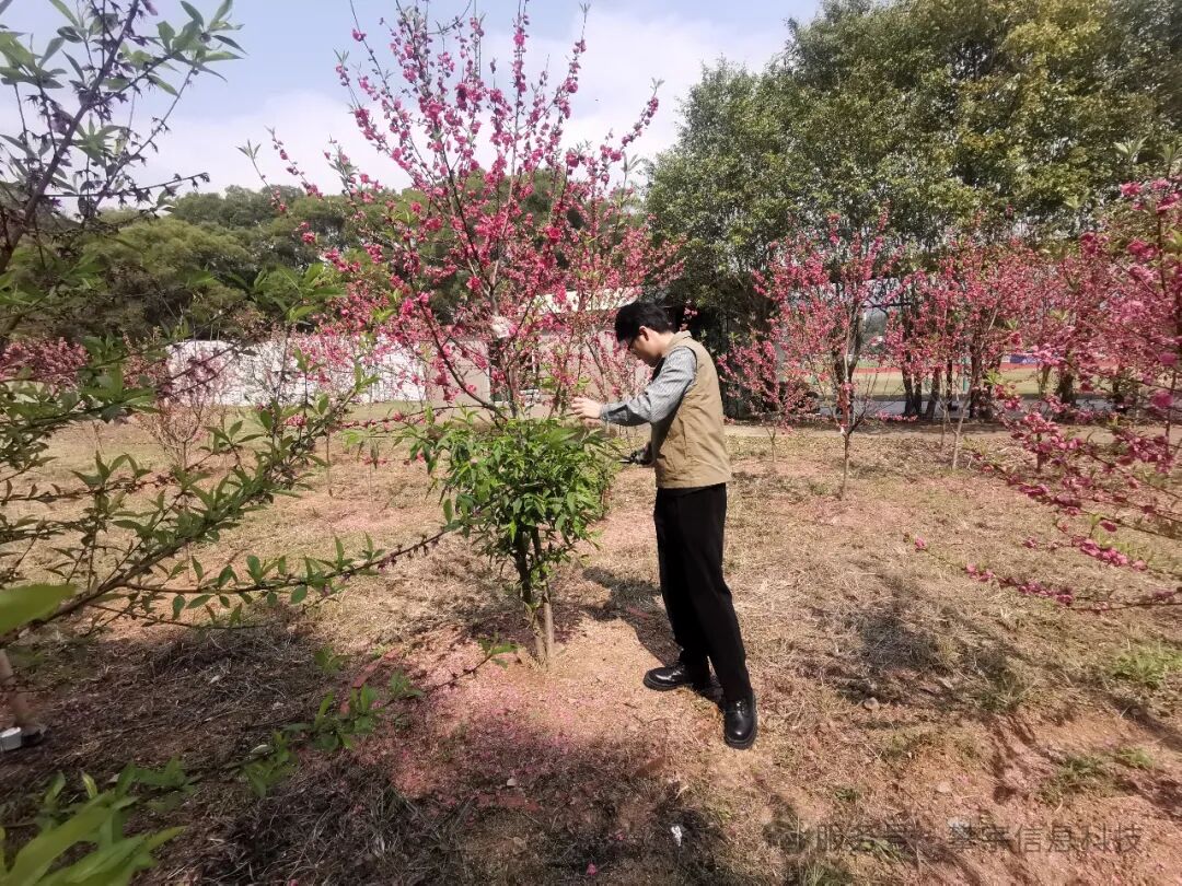 绿动未来·共植希望 | 福建攀宇(宇拓)科技2025年植树造林活动圆满落幕(图31) 绿动未来·共植希望 | 福建攀宇(宇拓)科技2025年植树造林活动圆满落幕(图31)