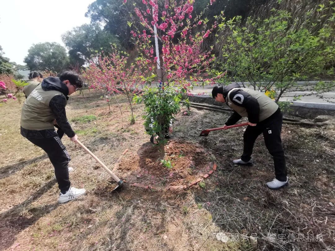 绿动未来·共植希望 | 福建攀宇(宇拓)科技2025年植树造林活动圆满落幕(图29)