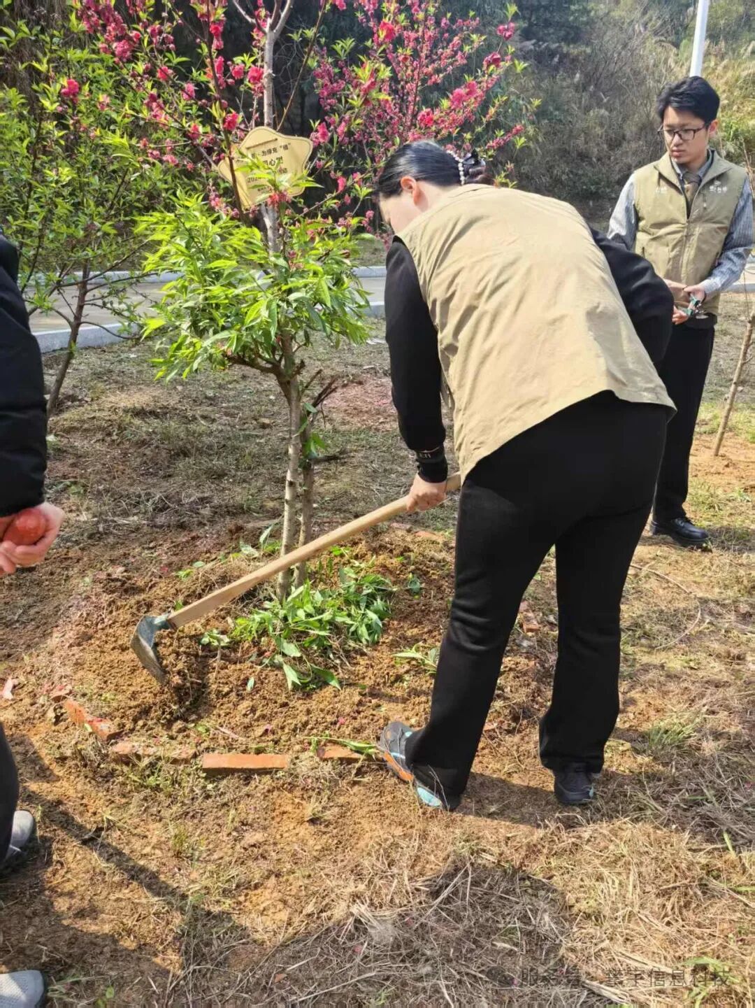 绿动未来·共植希望 | 福建攀宇(宇拓)科技2025年植树造林活动圆满落幕(图38)