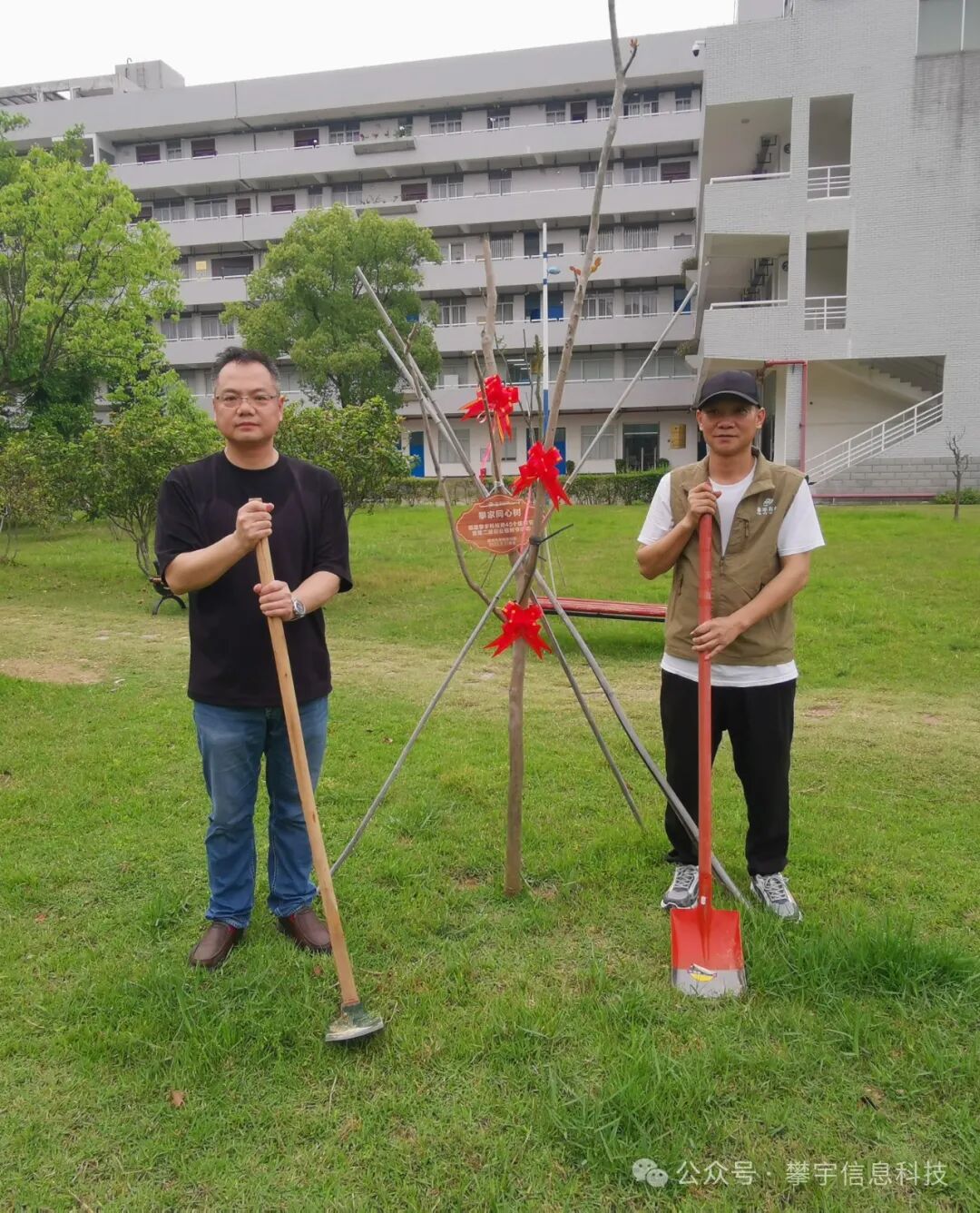 攀家同心树 | 不负时光·为绿充“植”(图15) 攀家同心树 | 不负时光·为绿充“植”(图15)