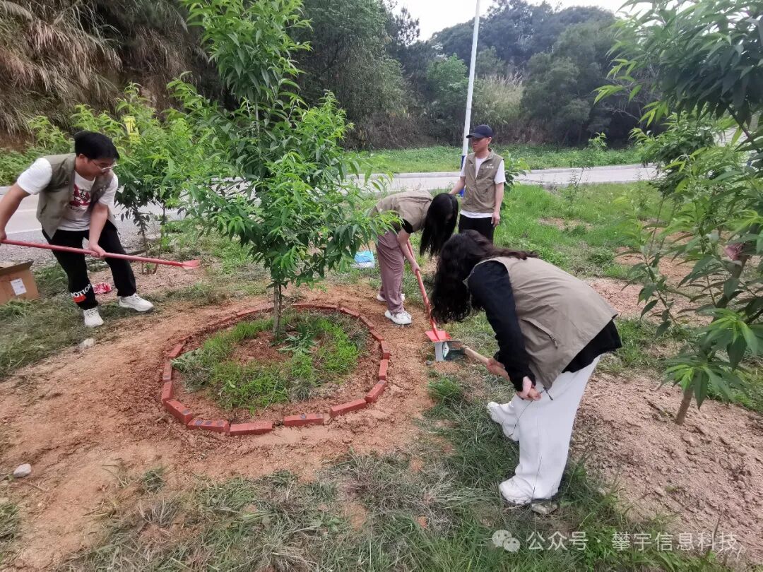 攀家同心树 | 不负时光·为绿充“植”(图9) 攀家同心树 | 不负时光·为绿充“植”(图9)