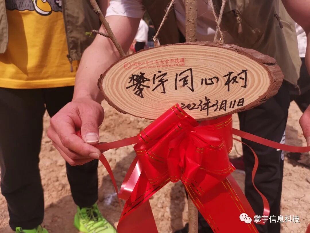 攀家同心树 | 共“植”一抹绿 ，一起“森”呼吸(图25)